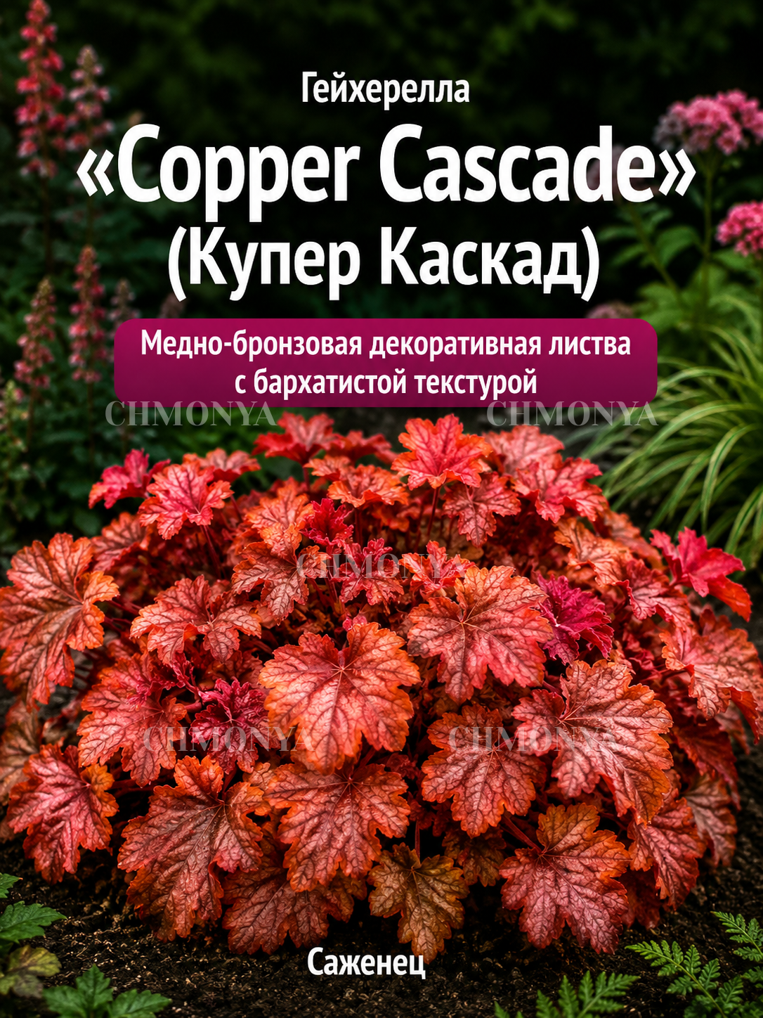 Гейхера Купер Каскад